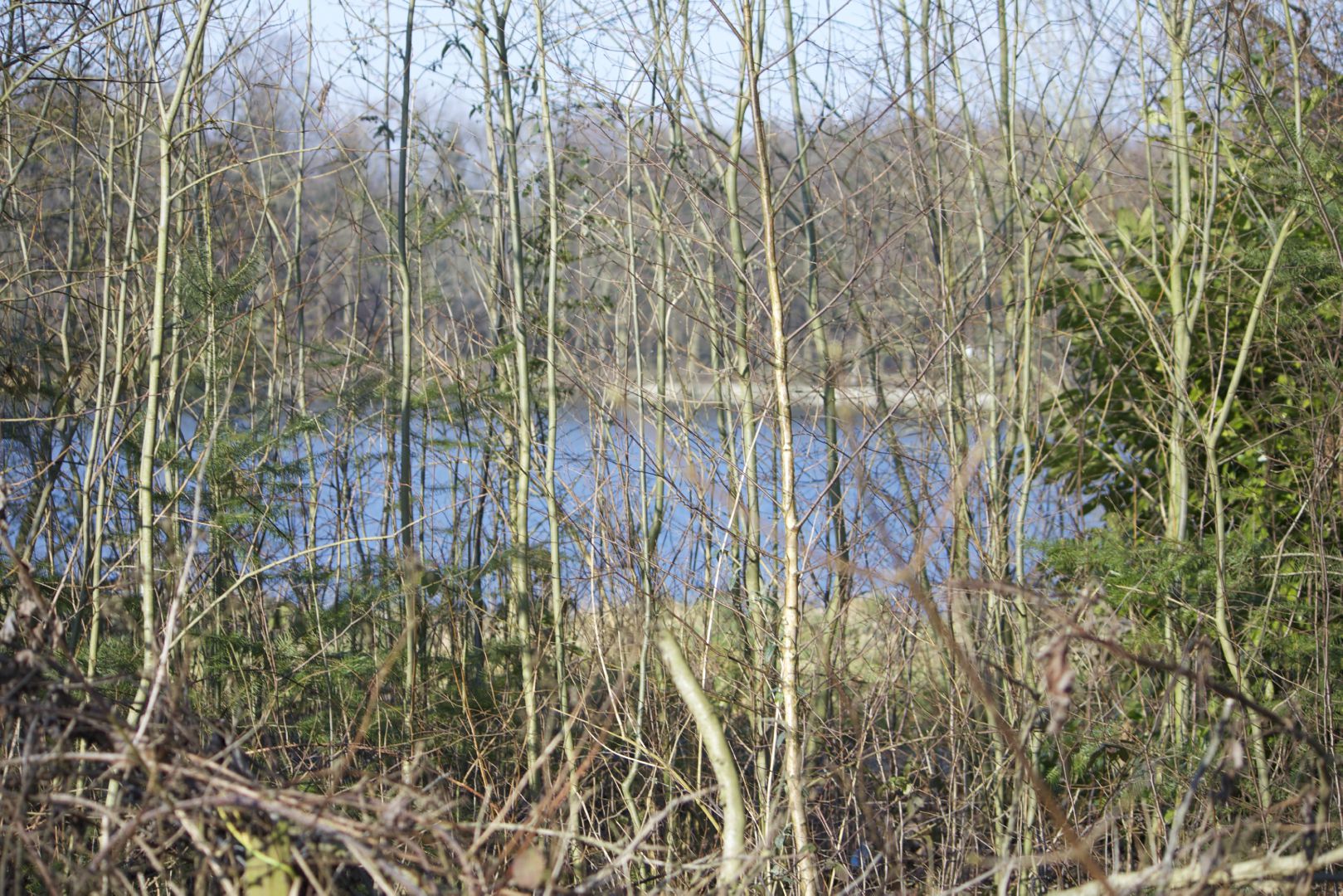 Perceel VILLAGROND 1977 m2 – subliem zicht op de Lac van Loppem