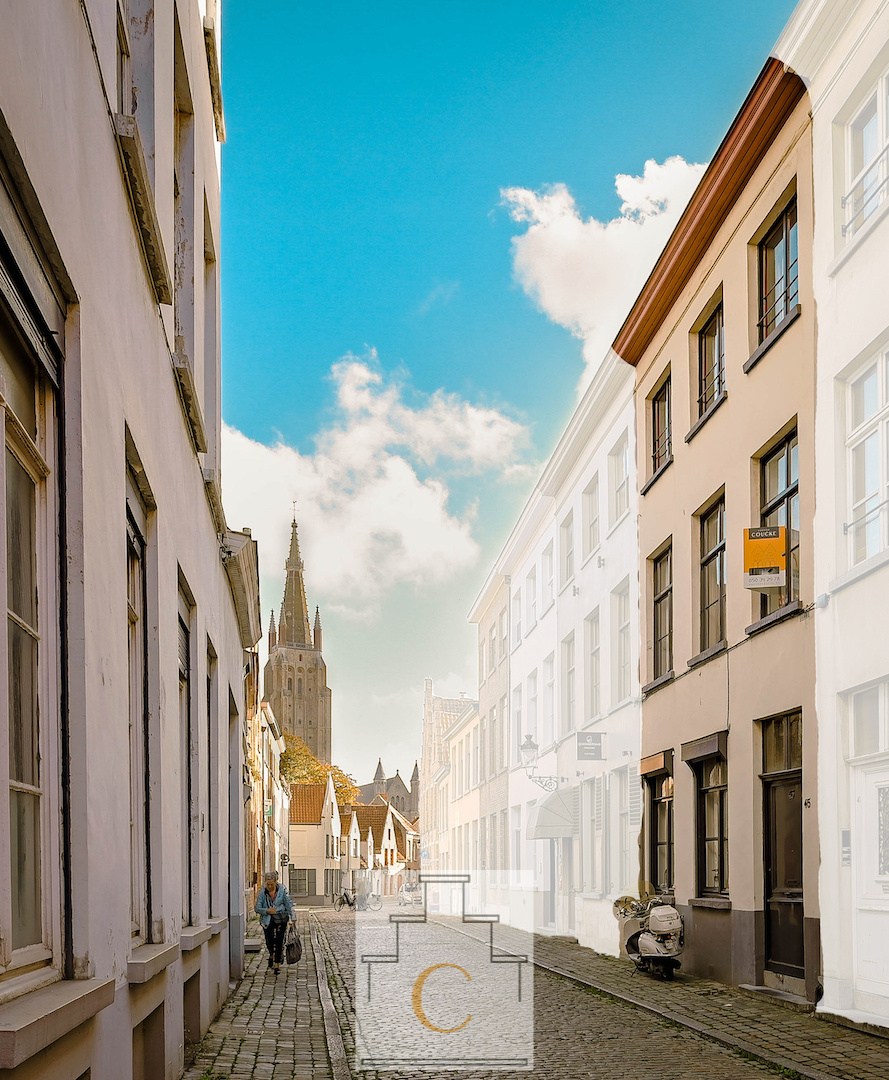 19e eeuws herenhuis met heerlijke stadstuin – tussen ’t Zand en Onze Lieve Vrouwkerk - garagebox kan bijgekocht worden