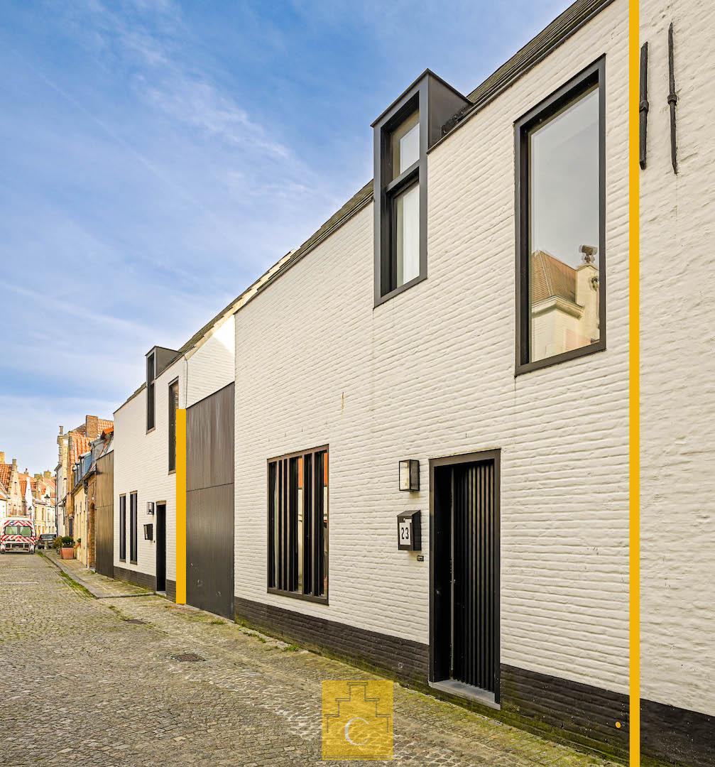eigentijdse energiezuinige stadswoning met autostandplaats en terras, centrale en stille ligging nabij Ezelstraat