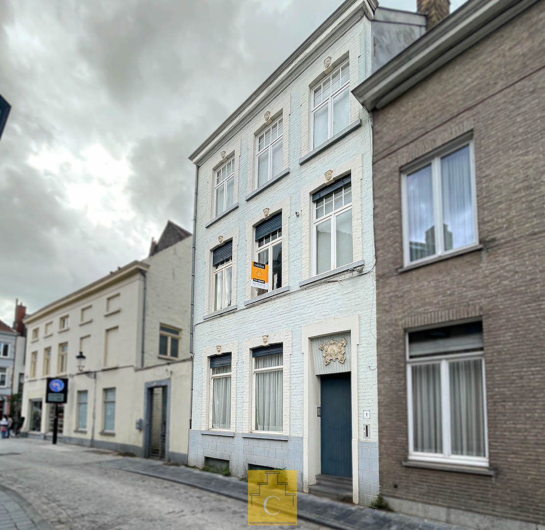 stijlvol en verrassend ruim burgerhuis met stadstuin, centrale ligging nabij Ankerplaats-Katelijnestraat